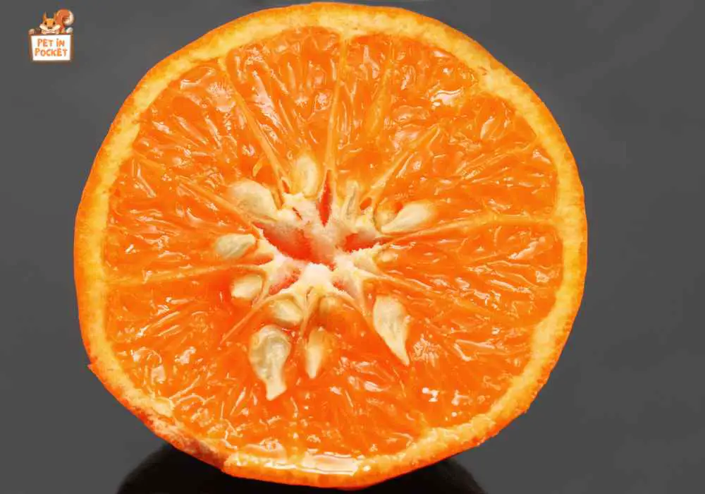 Orange Seed
