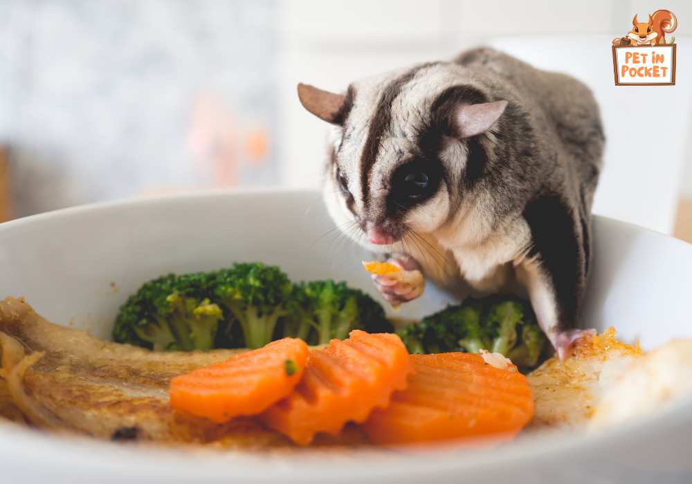 What is Toxic to Sugar Gliders?