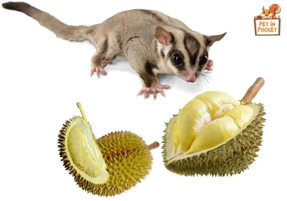 Can you give all types of durian to your Gliders