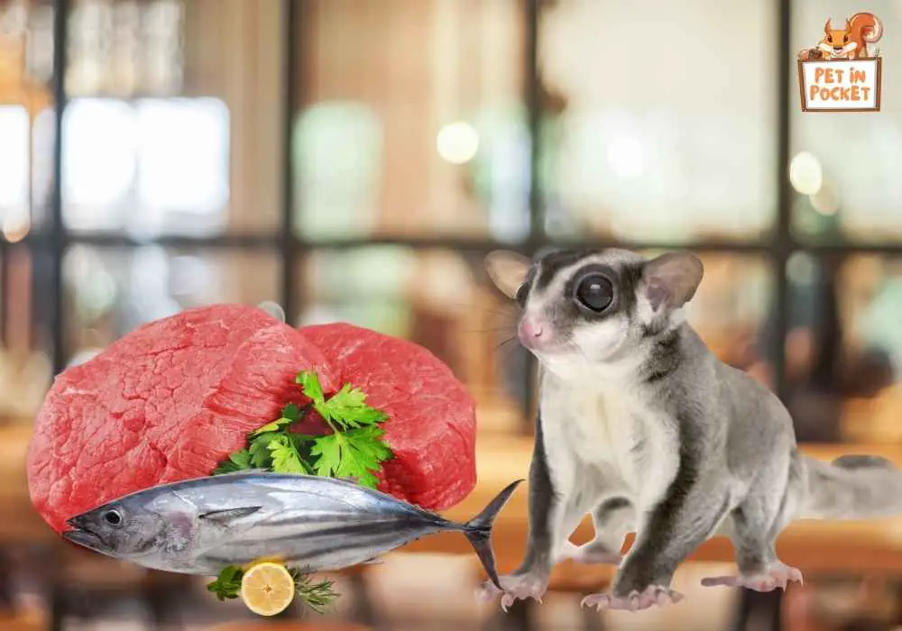 What if my sugar glider eats excessive tuna?