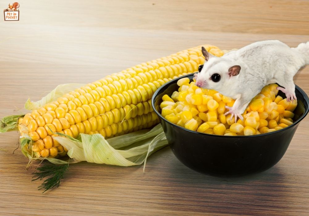 The Nutritional Value Of Corn