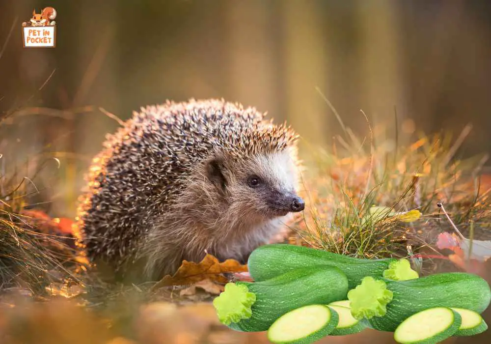 Benefits of Vegetables for Hedgehogs