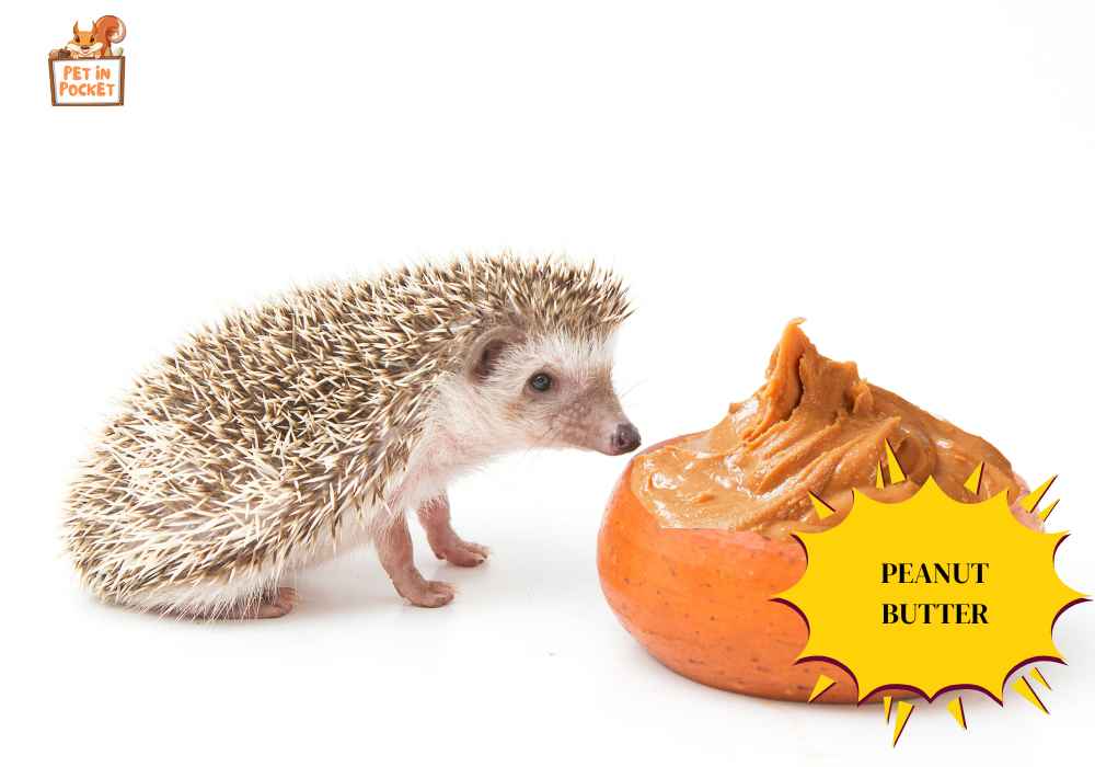 Can Hedgehogs Eat Peanut Butter