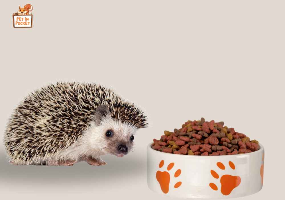 Dangers of Dog Foods for Hedgehogs