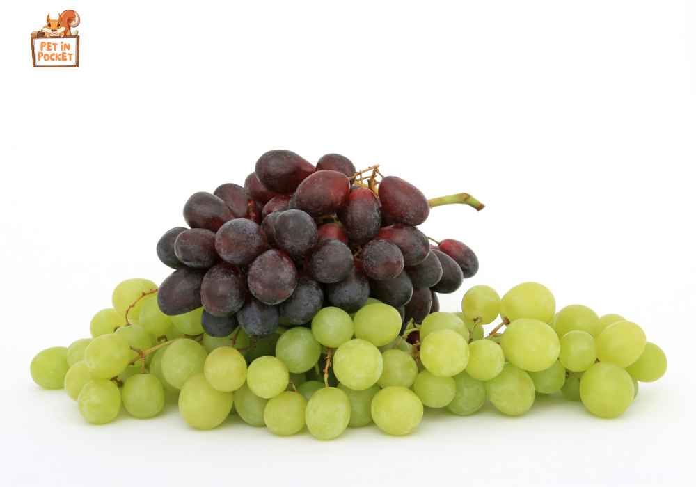 Disadvantages of Grapes 