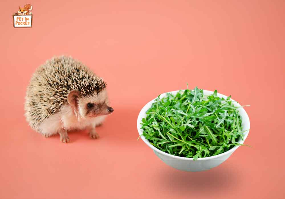 How to Serve Hedgehog Vegetables